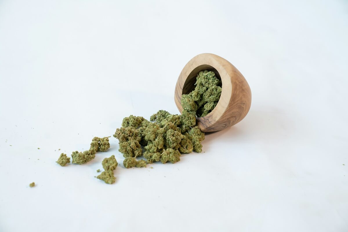 main blog cannabis image